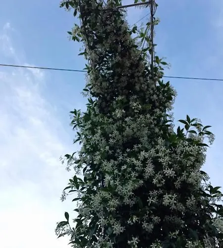 La Casa Del Agua 56 3*