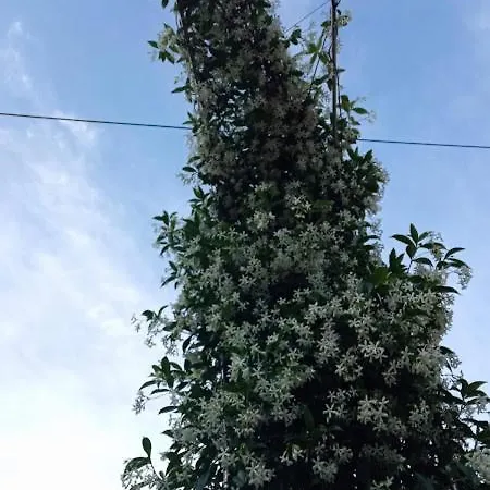 La Casa Del Agua 56 3*